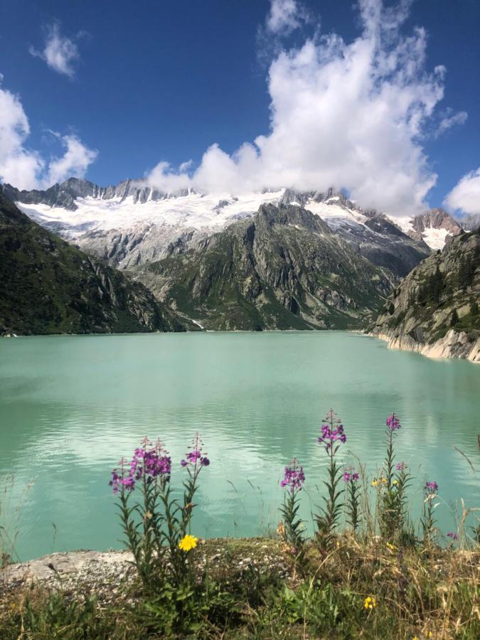 괴세넨 Alpine Haus 아파트 외부 사진